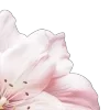 Стикер 48 Blueberries Nds From