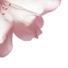 Стикер 56 Blueberries Nds From