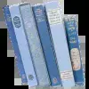 Стикер 55 Blueberries NDS