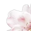 Стикер 29 Blueberries NDS