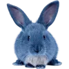 Стикер 2 Синий