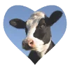 🐄 Эмодзи «Английский алфавит» для Telegram