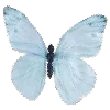 Стикер 27 ʚɞʚɞ