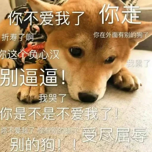 🐶 Стикер «Bluepants 的私藏 (1)» для Telegram