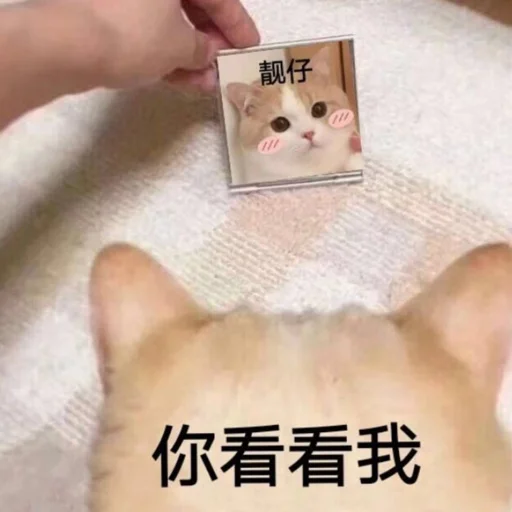 🐶 Стикер «Bluepants 的私藏 (1)» для Telegram