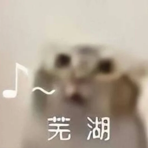 🐱 Стикер «Bluepants 的私藏 (1)» для Telegram