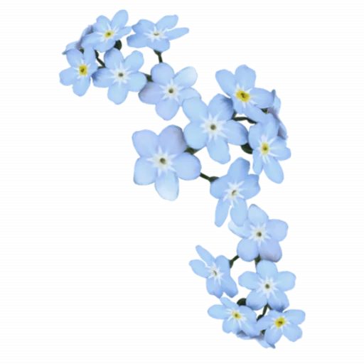 🌸 Стикер «Blue mixed» для Telegram