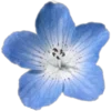 🩵 Эмодзи «Blue Tory» для Telegram