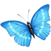 🩵 Эмодзи «Blue Tory» для Telegram