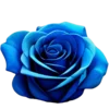 🩵 Эмодзи «Blue Tory» для Telegram