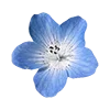 🌺 Эмодзи «blue vibes» для Telegram