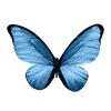 🦋 Эмодзи «blue vibes» для Telegram