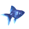 🐟 Эмодзи «blue vibes» для Telegram