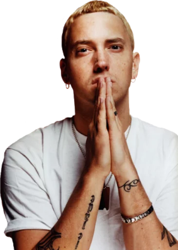 🙏 Стикер «Pass Da Shit Homie» для Telegram