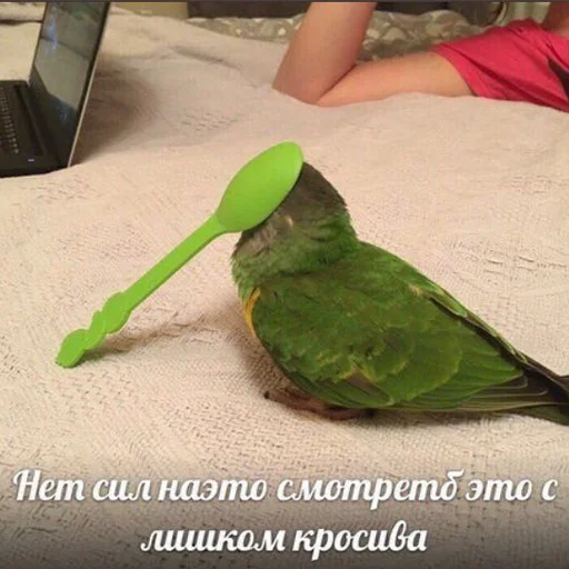 ☺️ Стикер «Я орал, меня ловили» для Telegram