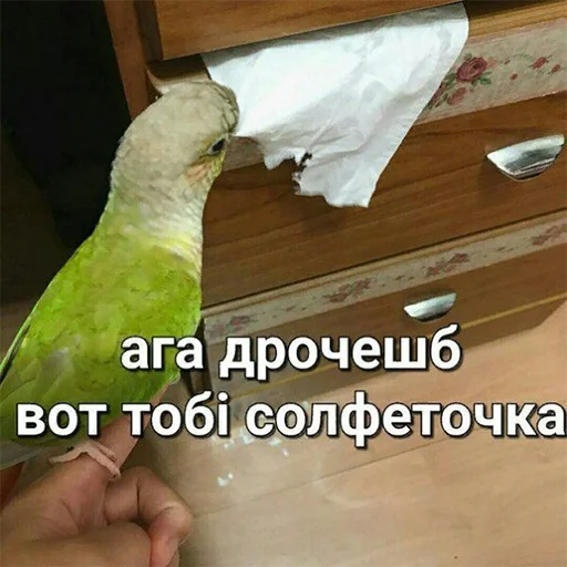 🤭 Стикер «Я орал, меня ловили» для Telegram