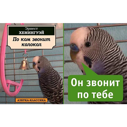 😉 Стикер «Я орал, меня ловили» для Telegram