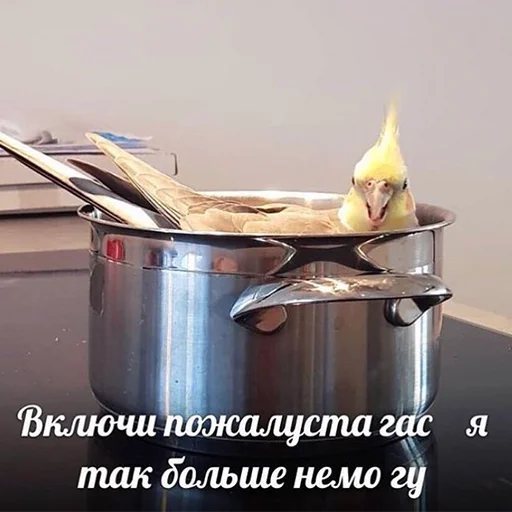 😢 Стикер «Я орал, меня ловили» для Telegram