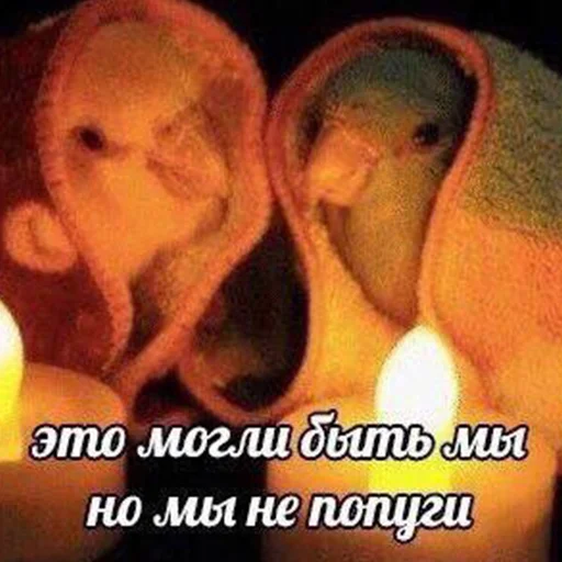 🥰 Стикер «Я орал, меня ловили» для Telegram