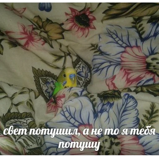 😐 Стикер «Я орал, меня ловили» для Telegram