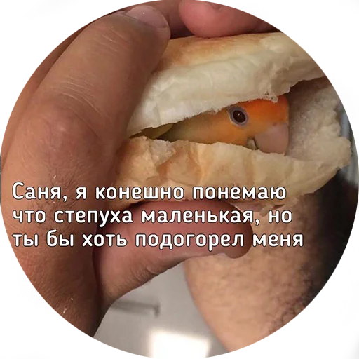 😕 Стикер «Я орал, меня ловили» для Telegram