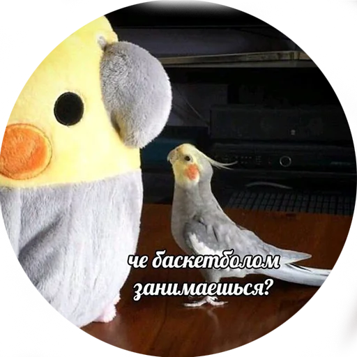 😏 Стикер «Я орал, меня ловили» для Telegram