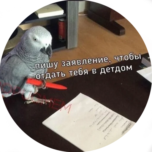 😗 Стикер «Я орал, меня ловили» для Telegram
