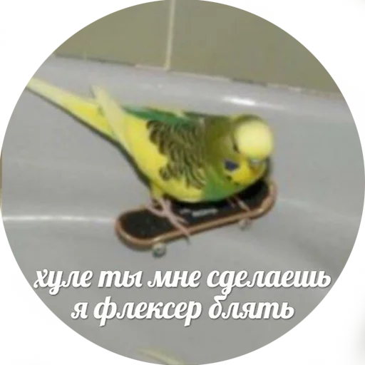🤠 Стикер «Я орал, меня ловили» для Telegram