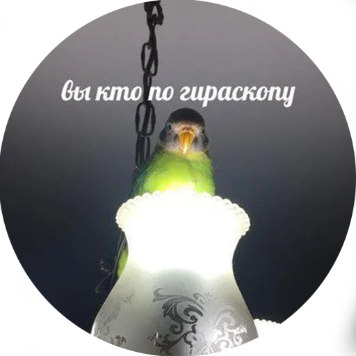 😐 Стикер «Я орал, меня ловили» для Telegram