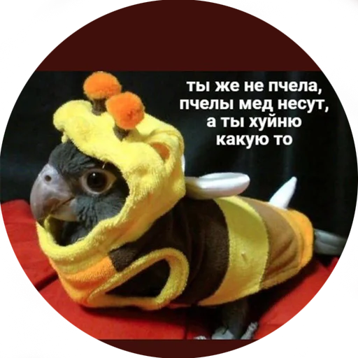 😟 Стикер «Я орал, меня ловили» для Telegram