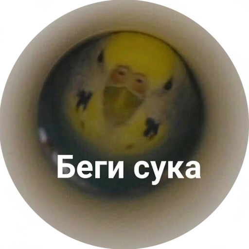 😈 Стикер «Я орал, меня ловили» для Telegram