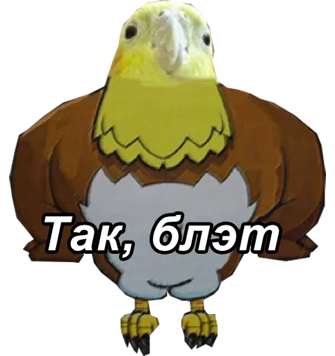 😠 Стикер «блядские папуги» для Telegram