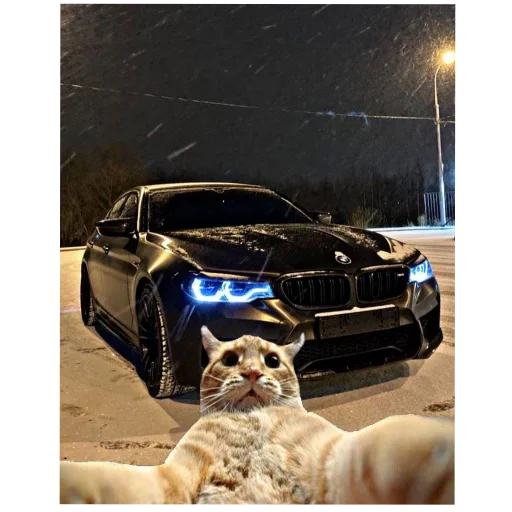 🚗 Стикер «Avto» для Telegram