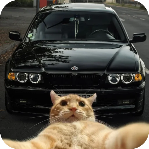 🚗 Стикер «Avto» для Telegram