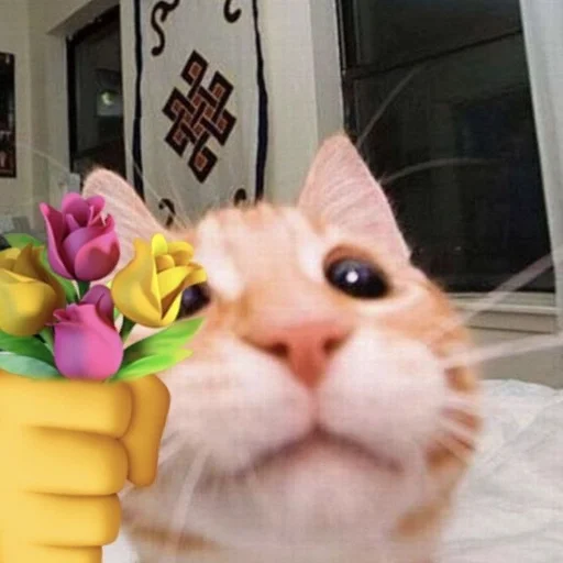 💐 Стикер «бингус и другие» для Telegram