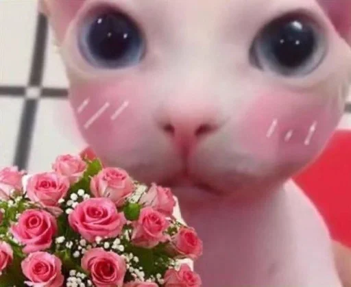 ❤ Стикер «бингус и другие» для Telegram