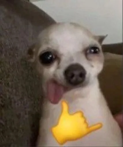 👅 Стикер «бингус и другие» для Telegram