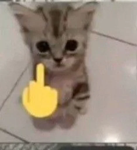 🖕 Стикер «бингус и другие» для Telegram