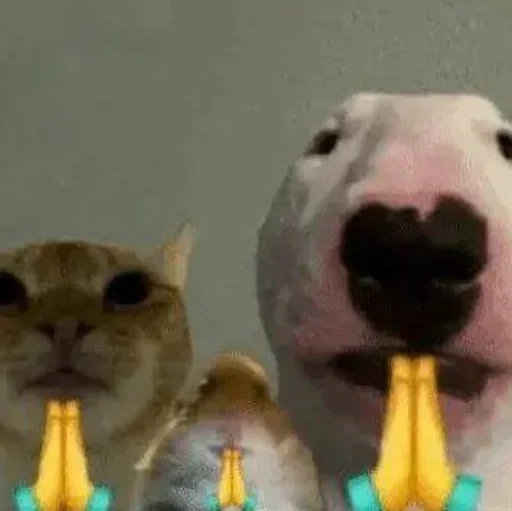 🙏 Стикер «бингус и другие» для Telegram