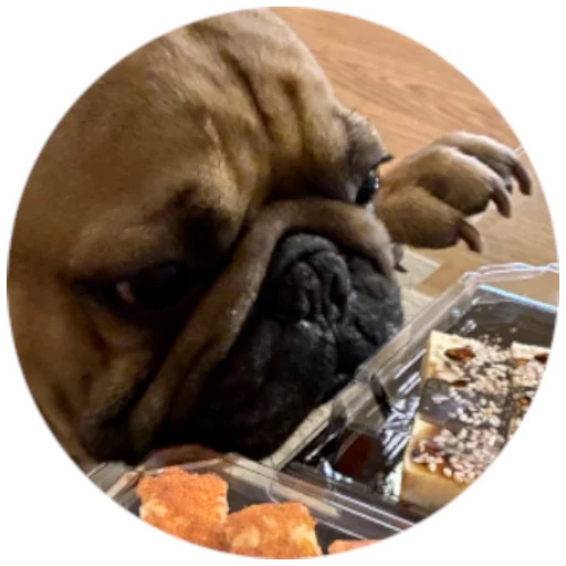🤤 Стикер «Bob Marley??The Frenchies» для Telegram