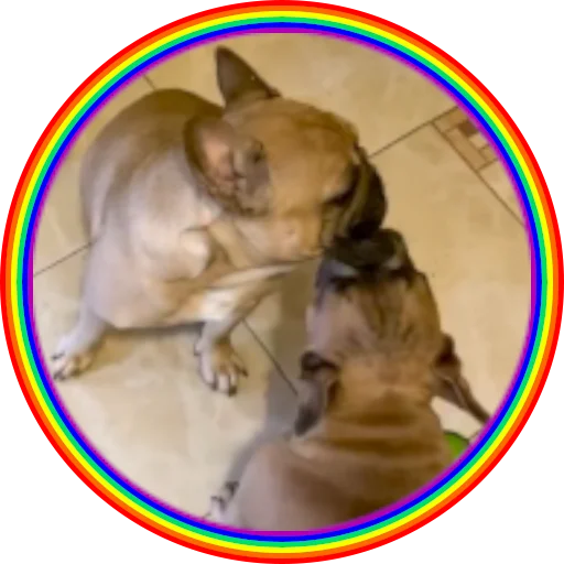 😘 Стикер «Bob Marley??The Frenchies» для Telegram