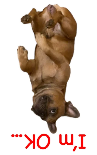 🤪 Стикер «Bob Marley??The Frenchies» для Telegram