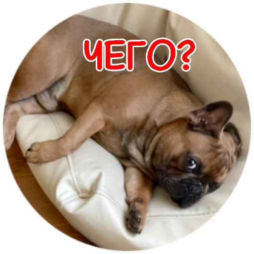 ❔ Стикер «Bob Marley??The Frenchies» для Telegram