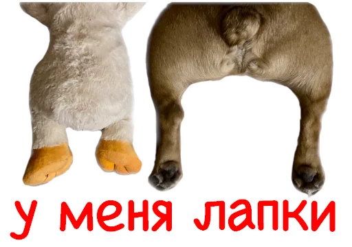 🐾 Стикер «Bob Marley??The Frenchies» для Telegram