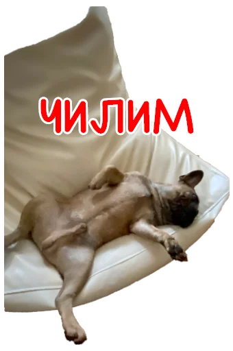 ☺️ Стикер «Bob Marley??The Frenchies» для Telegram