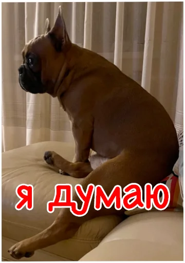 🤔 Стикер «Bob Marley??The Frenchies» для Telegram