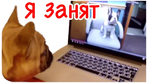 ✋ Стикер «Bob Marley??The Frenchies» для Telegram