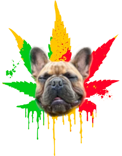 🤙 Стикер «Bob Marley??The Frenchies» для Telegram