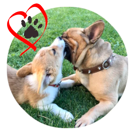 ❤️ Стикер «Bob Marley??The Frenchies» для Telegram