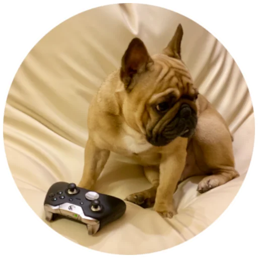 🎮 Стикер «Bob Marley??The Frenchies» для Telegram